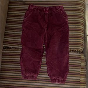 burgandy cordury pants